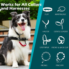 PetBonus respaldo de seguridad para collar, compatible con varios tipos de arnés.