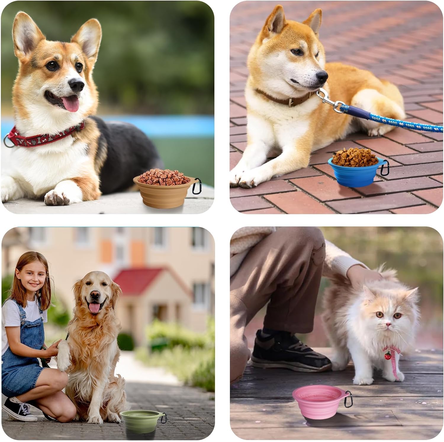 PetBonus silicona de grado alimentario, libre de BPA para uso diario.