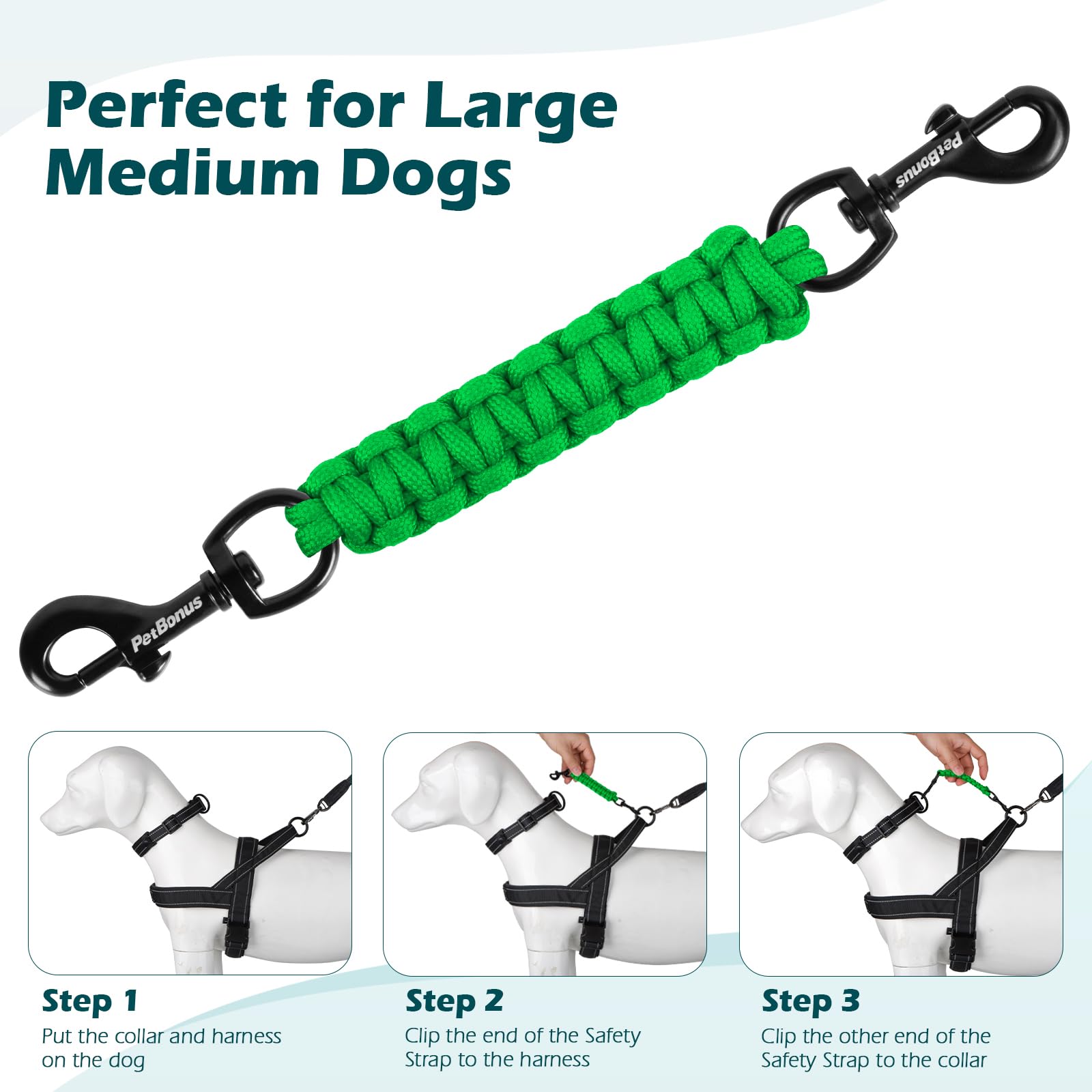 PetBonus sistema 360 grados: clip giratorio que facilita la conexión estable.