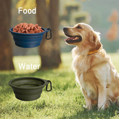 PetBonus tazón capacidad 590 ml para agua o comida