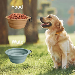 PetBonus tazon silicona grado alimentario sin BPA ofrece seguridad y durabilidad