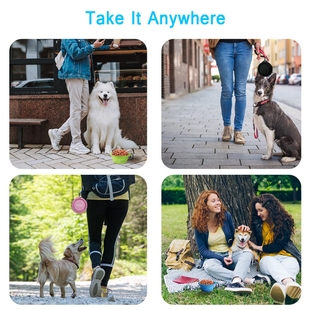 PetBonus cuenco plegado compacto para guardar fácilmente
