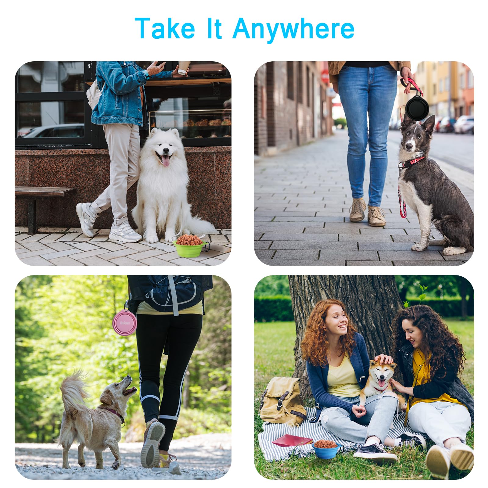 PetBonus tazones con capacidad de 2.5 tazas para comida o agua