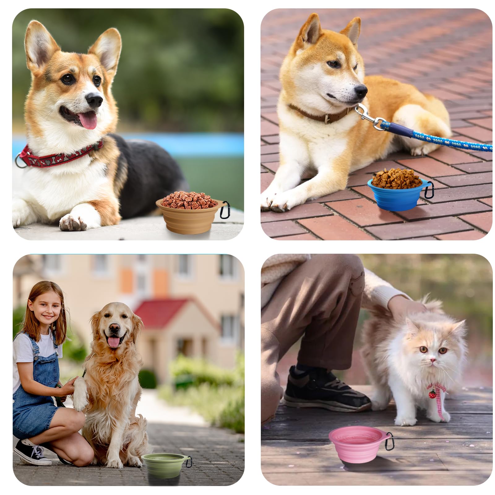 PetBonus tazones con dos mosquetones para enganchar