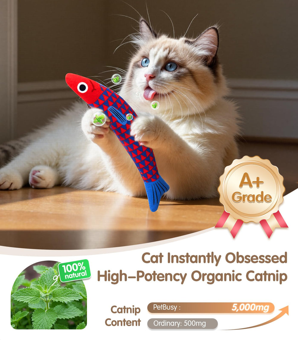 PetBusy hierba de gato 5000mg para fomentar curiosidad y exploración