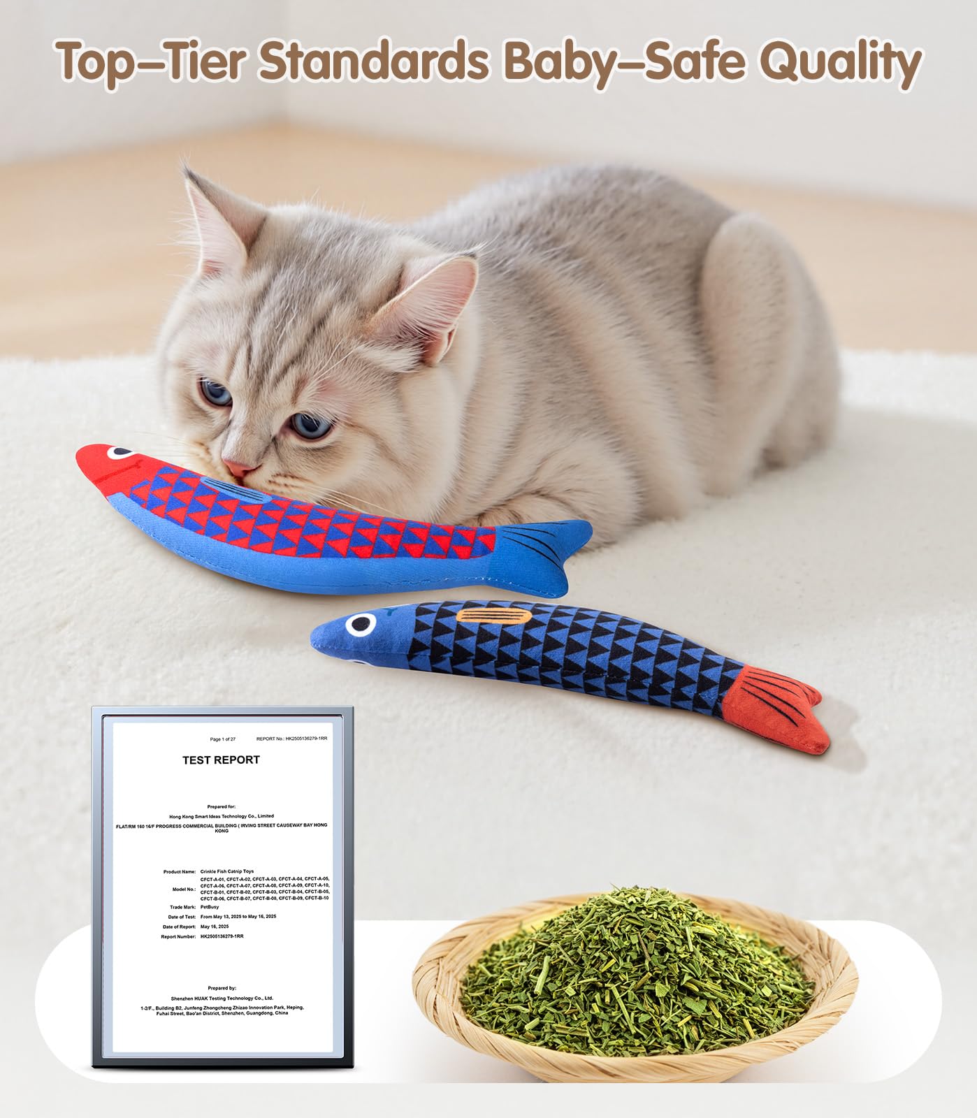 PetBusy material seguro para gatos y gatitos