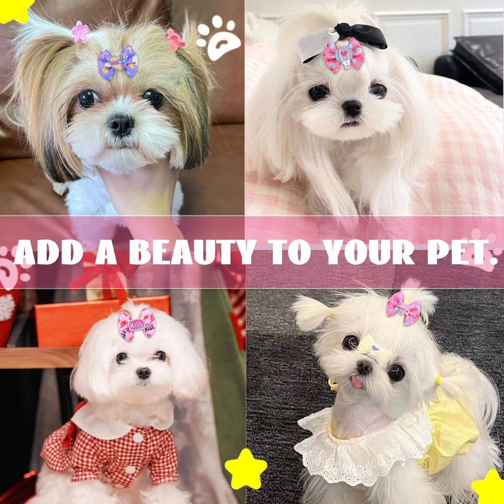 Petbuy lazo compacto multicolor para uso diario, cómodo y suave.