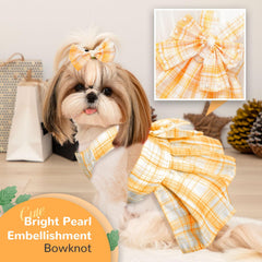 Broche-lazo PETCARE, accesorio decorativo para realzar el conjunto