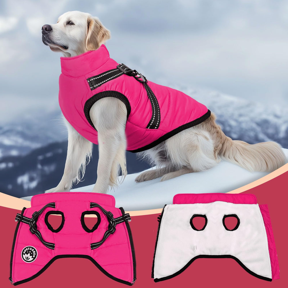 PETCARE arnés integrado en abrigo para perros, diseño práctico
