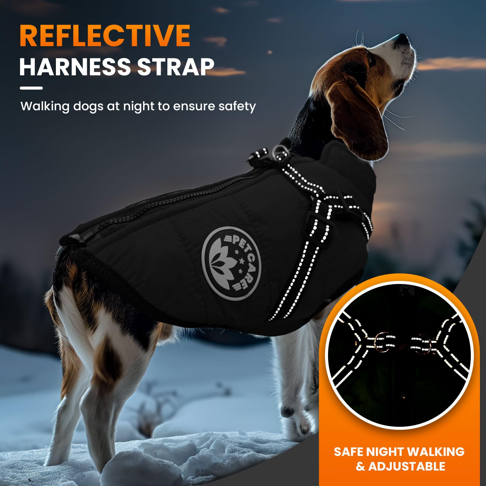 Petcare chaqueta-reflectante para mayor visibilidad en paseos nocturnos.
