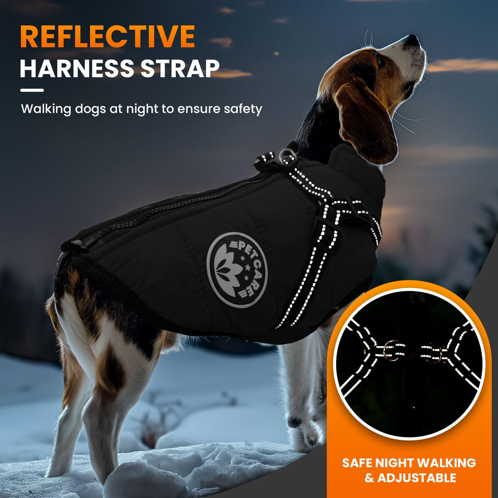 Petcare chaqueta-reflectante para mayor visibilidad en paseos nocturnos.