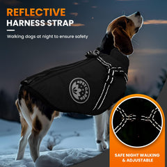 Petcare chaqueta-reflectante para mayor visibilidad en paseos nocturnos.