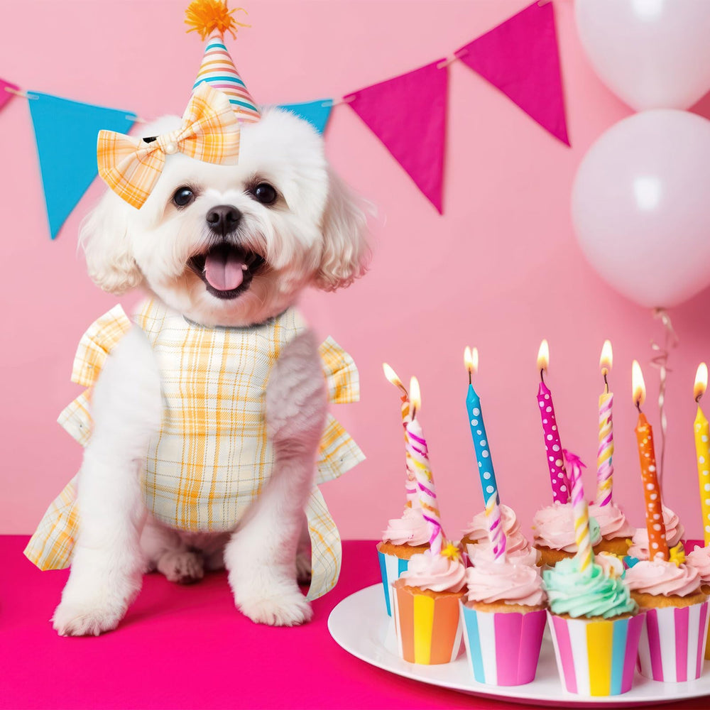 Cierre de botones PETCARE, ajuste rápido y seguro