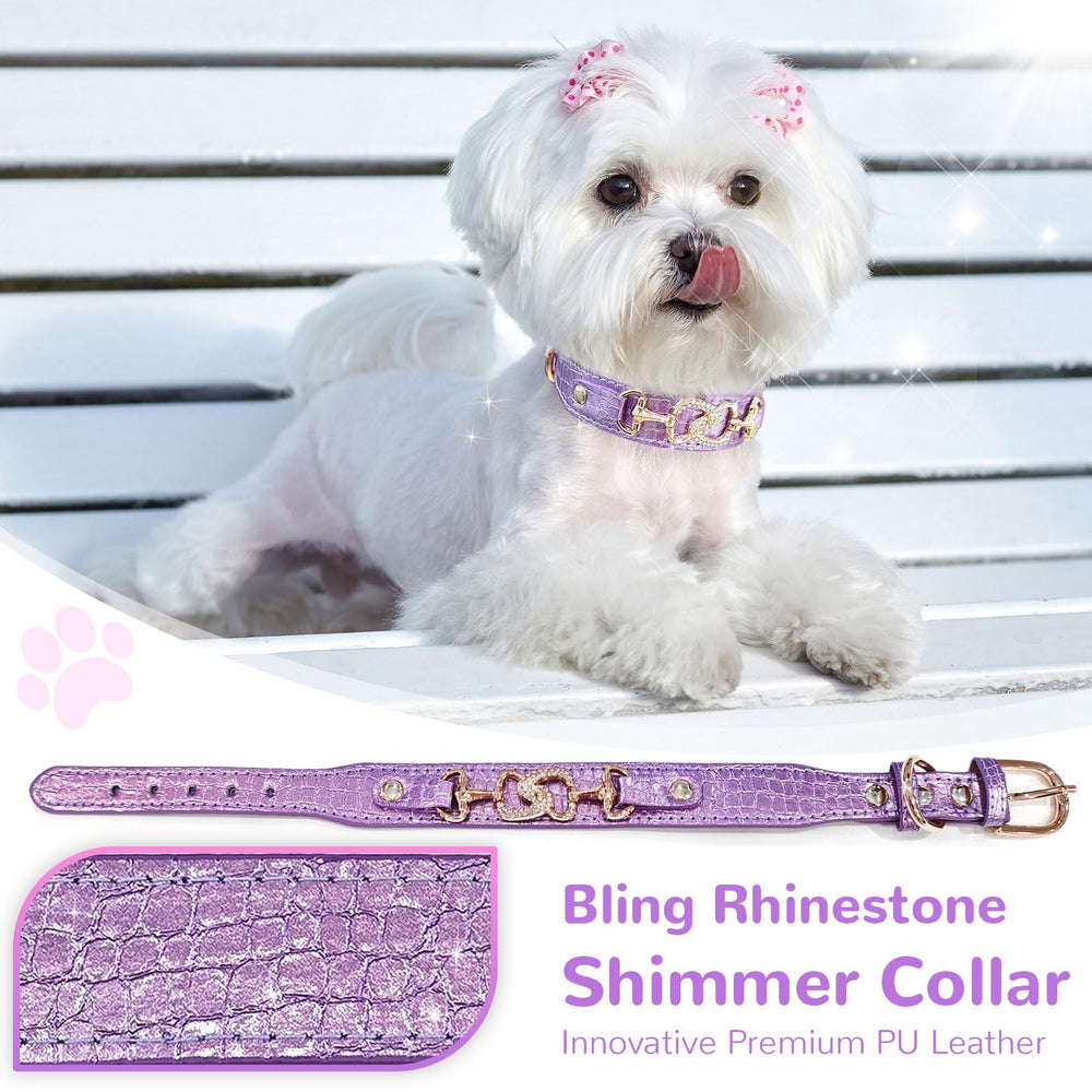 Collar PETCARE de cuero PU sintético, ajustable y cómodo para mascotas pequeñas.