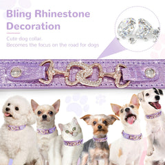 Collar PETCARE morado con brillos, perfecto para sesiones de fotos.