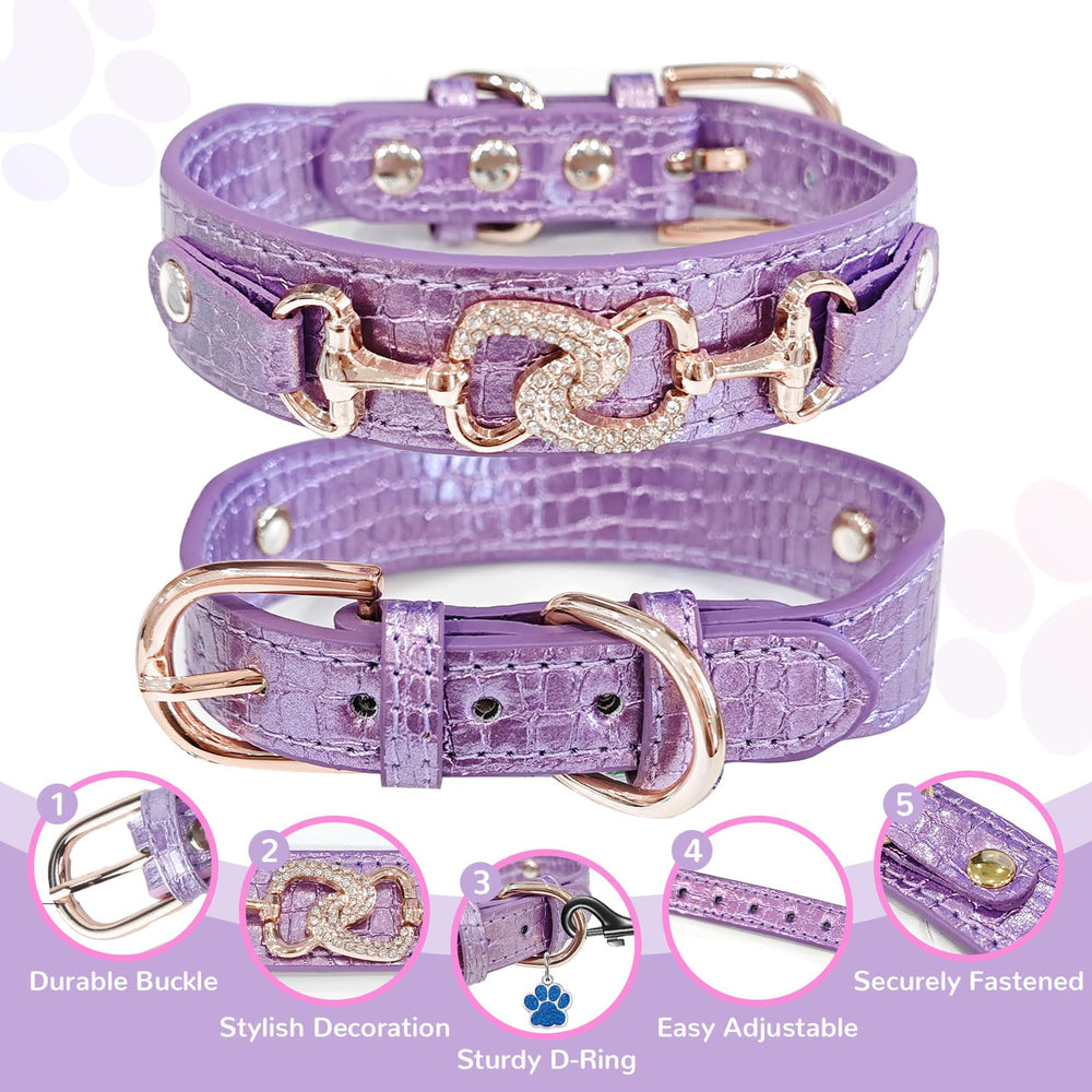 Diseño de princesa PETCARE con brillo discreto para paseos diarios.