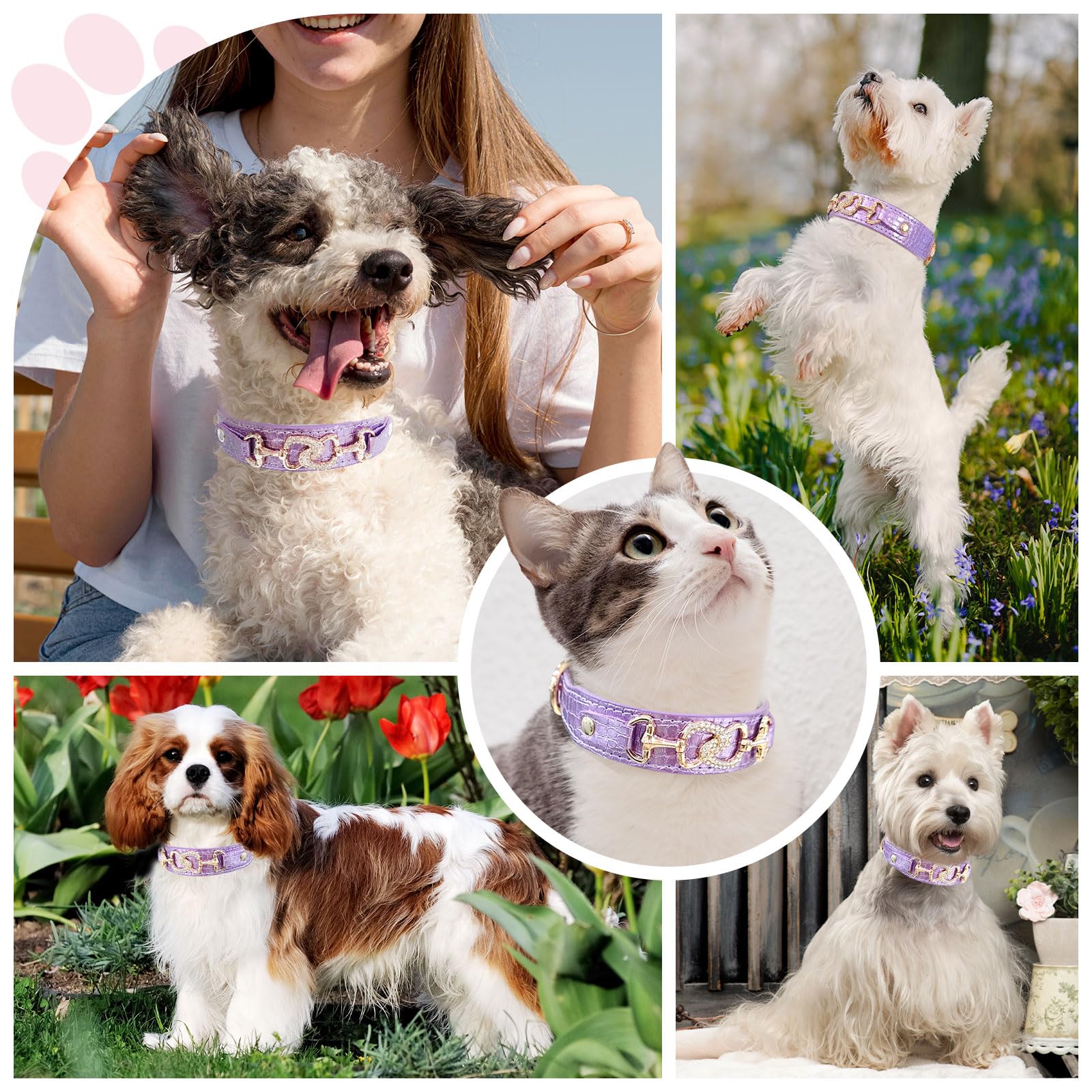 Hebilla metálica resistente del collar PETCARE para uso diario.