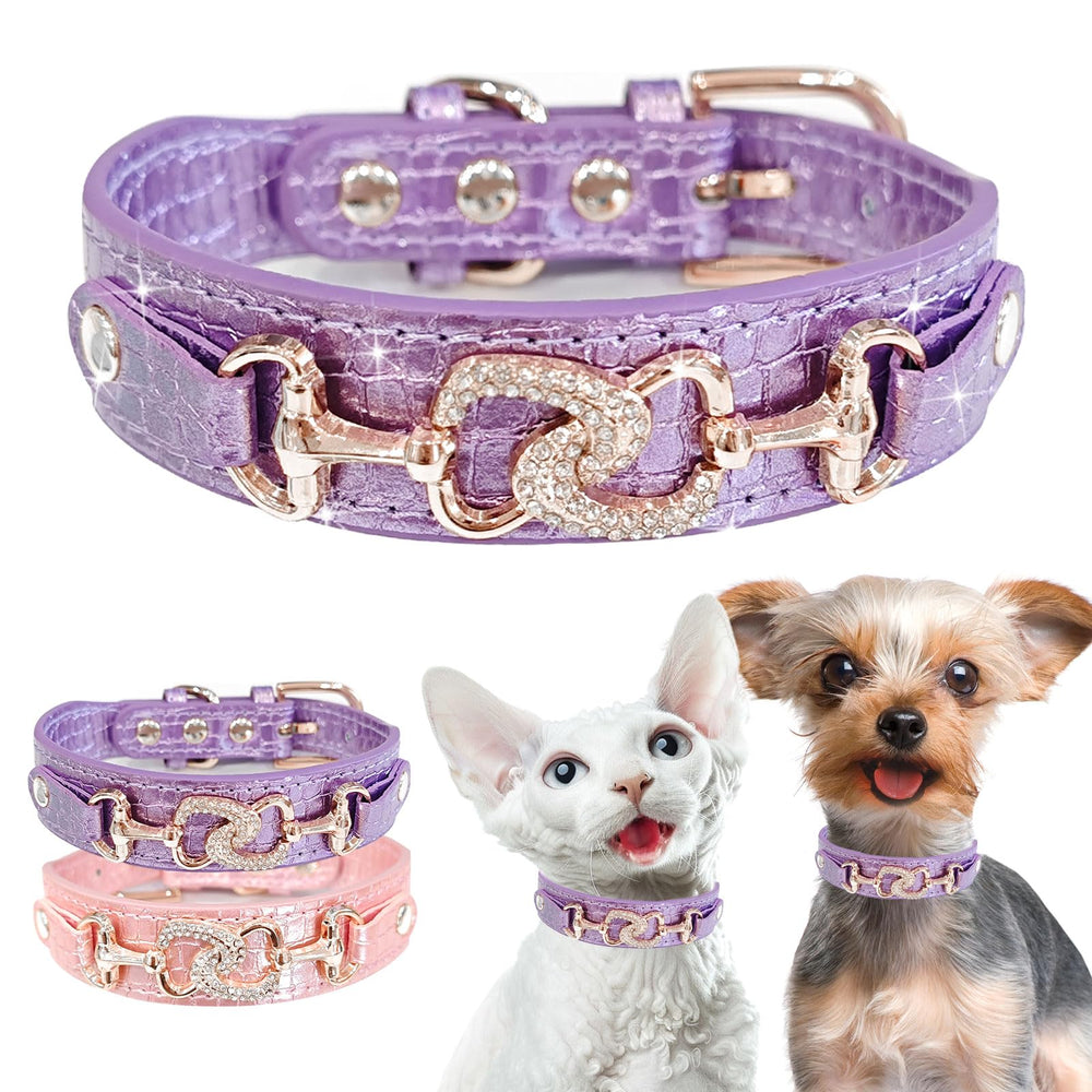 Collar PETCARE para razas pequeñas como chihuahua y yorkie, cómodo y seguro.