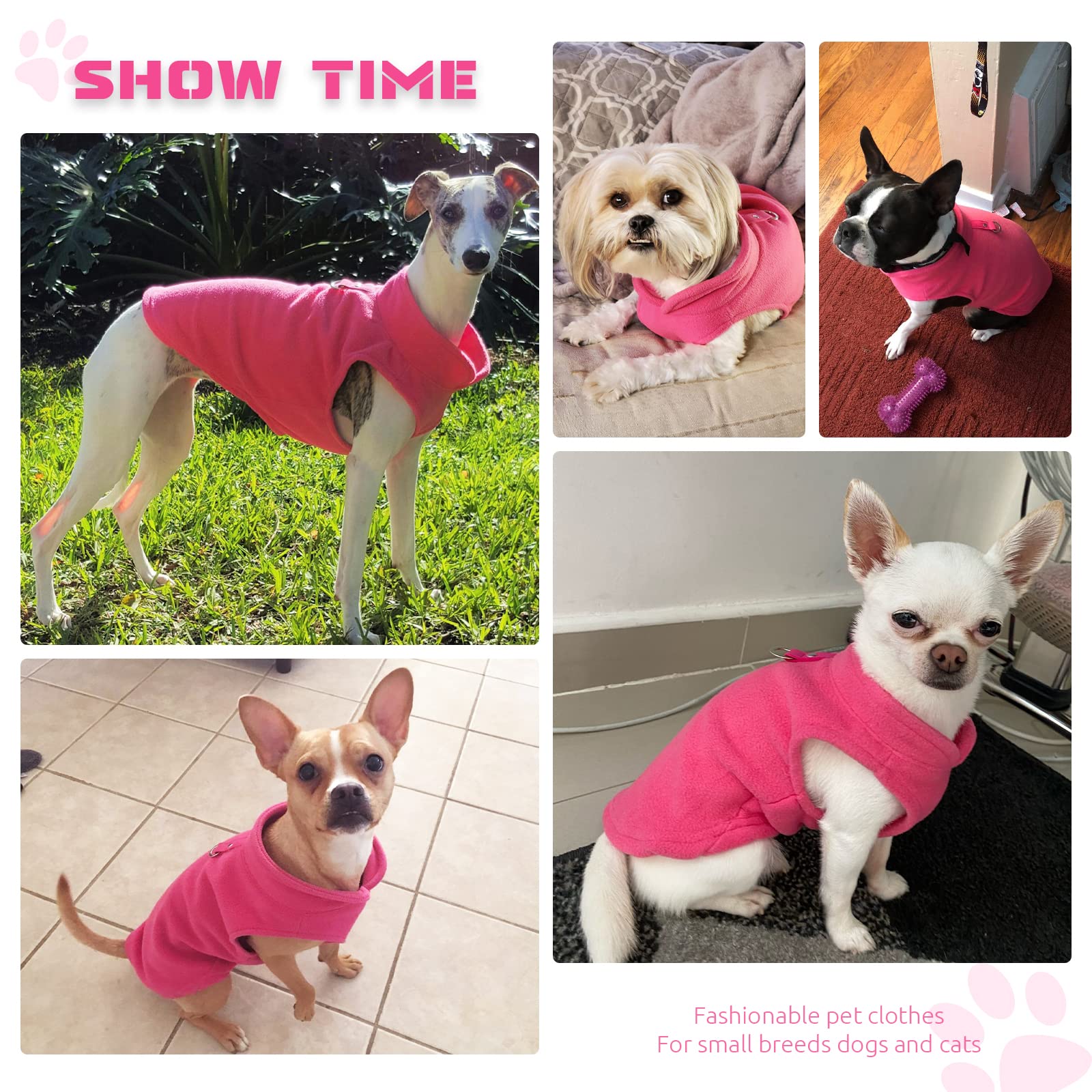 PETCARE sudadera con anillo en O, fácil de acoplar la correa durante paseos.