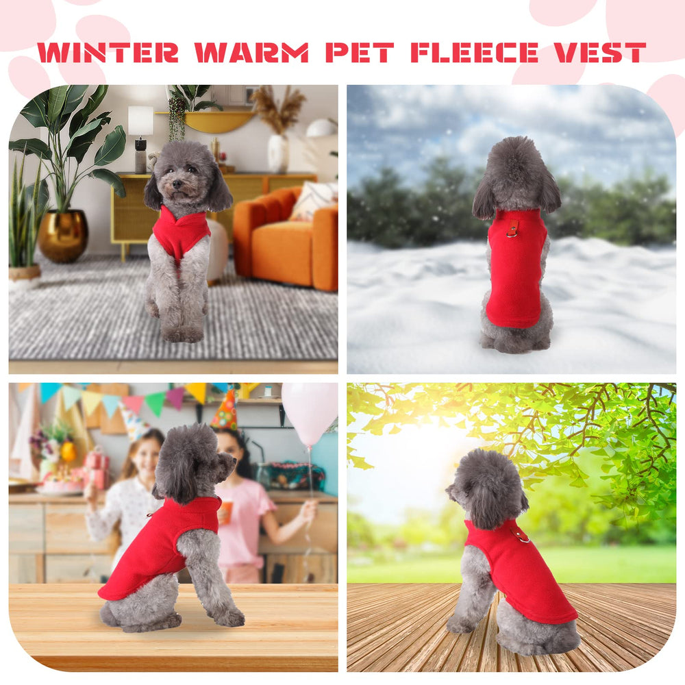 PETCARE diseño clásico con aro de correa para salidas seguras.