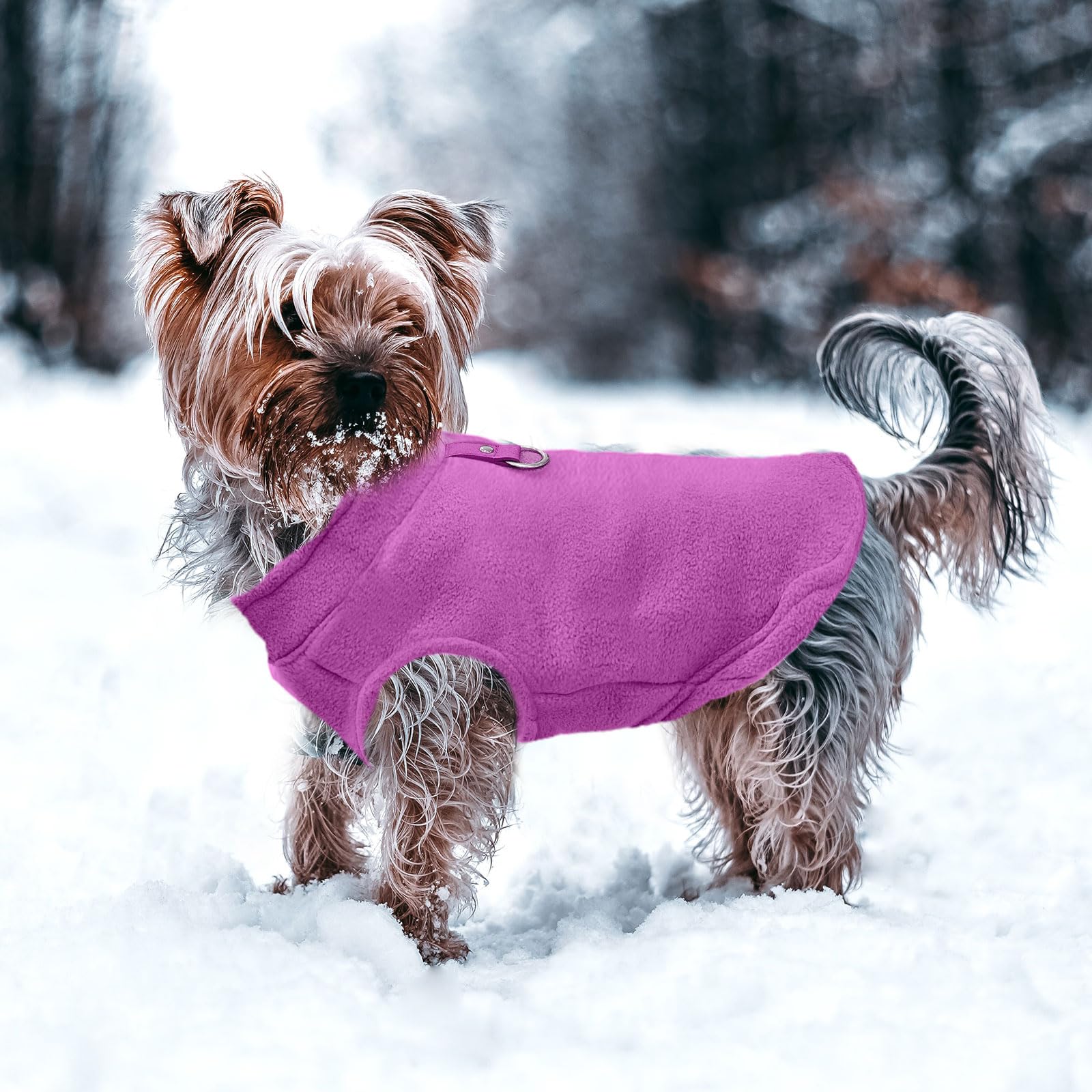 PETCARE sudadera para perro pequeño vista lateral, estilo cómodo y práctico.