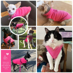 Petcare suéter con aro en la espalda, facilita enganchar la correa.
