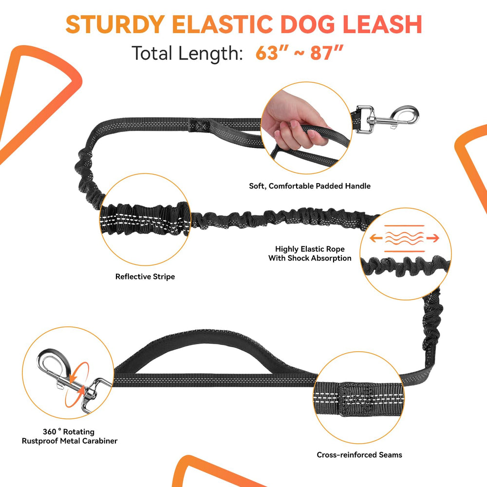 PETCOOZ: cinturón ajustable y cadena extensible, ajuste seguro para diferentes cuerpos