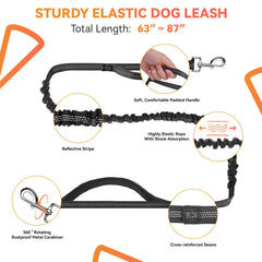 PETCOOZ: cinturón ajustable y cadena extensible, ajuste seguro para diferentes cuerpos