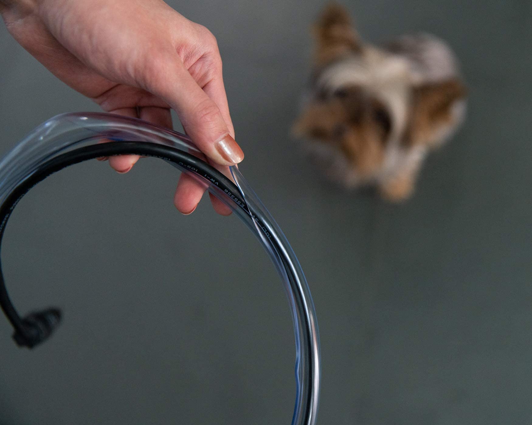 PetCords protector en hogar, tranquilidad para dueños y mascotas.