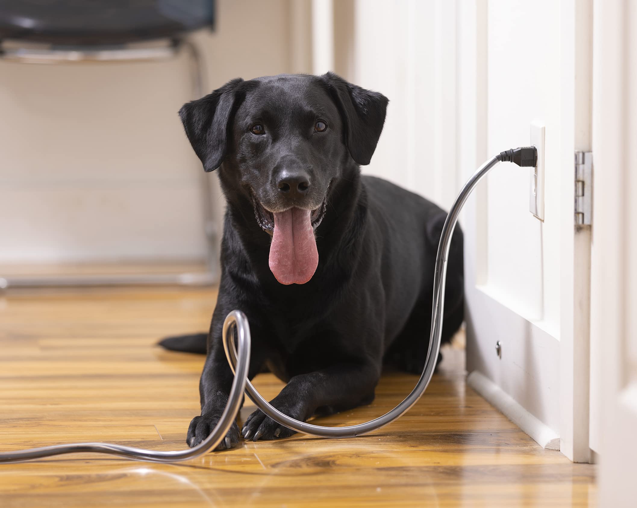 PetCords protector para perros y gatos, instalación rápida y segura.