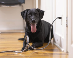PetCords protector para perros y gatos, instalación rápida y segura.