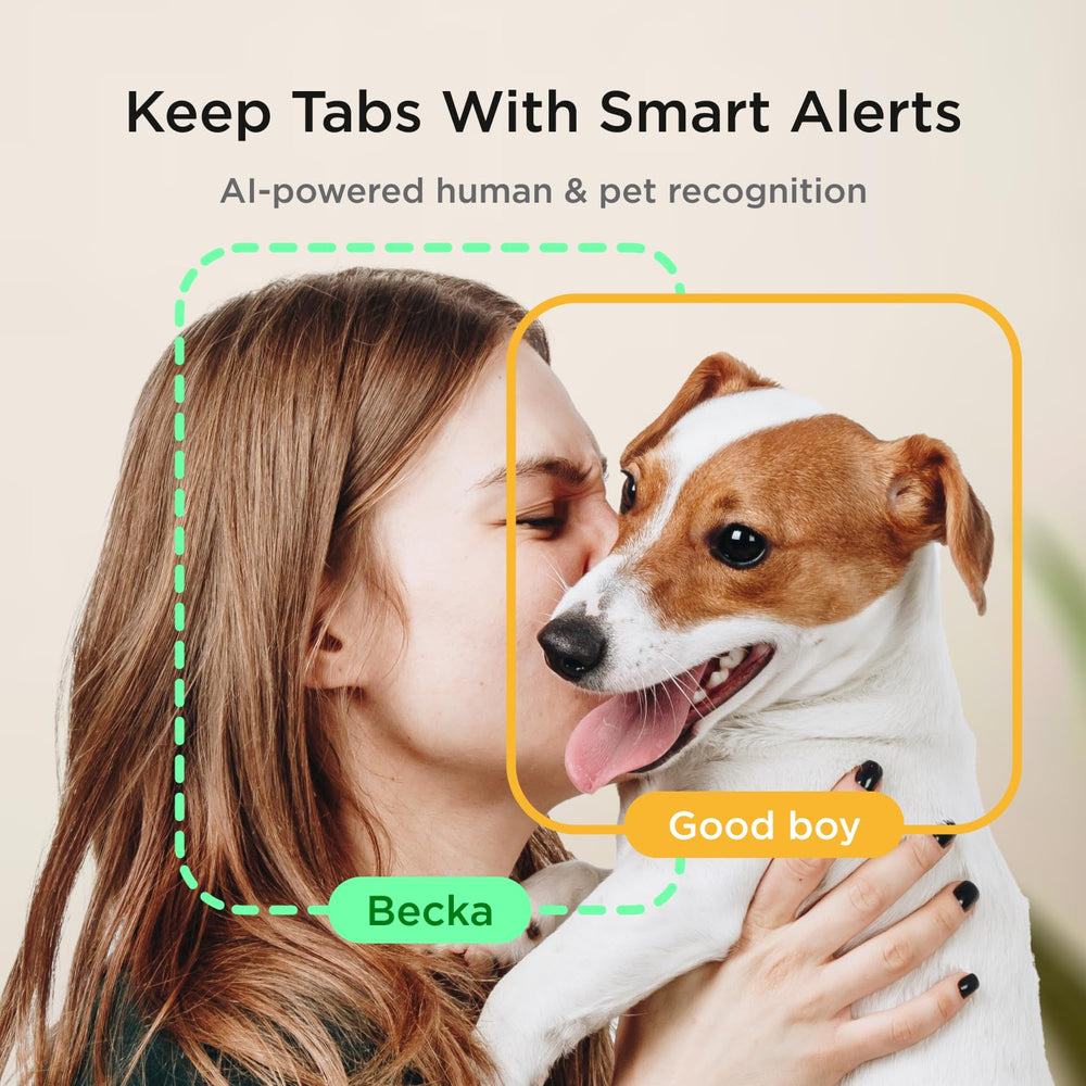 Petcube Pack: alertas IA de movimiento y sonido para saber cuándo pasa algo.