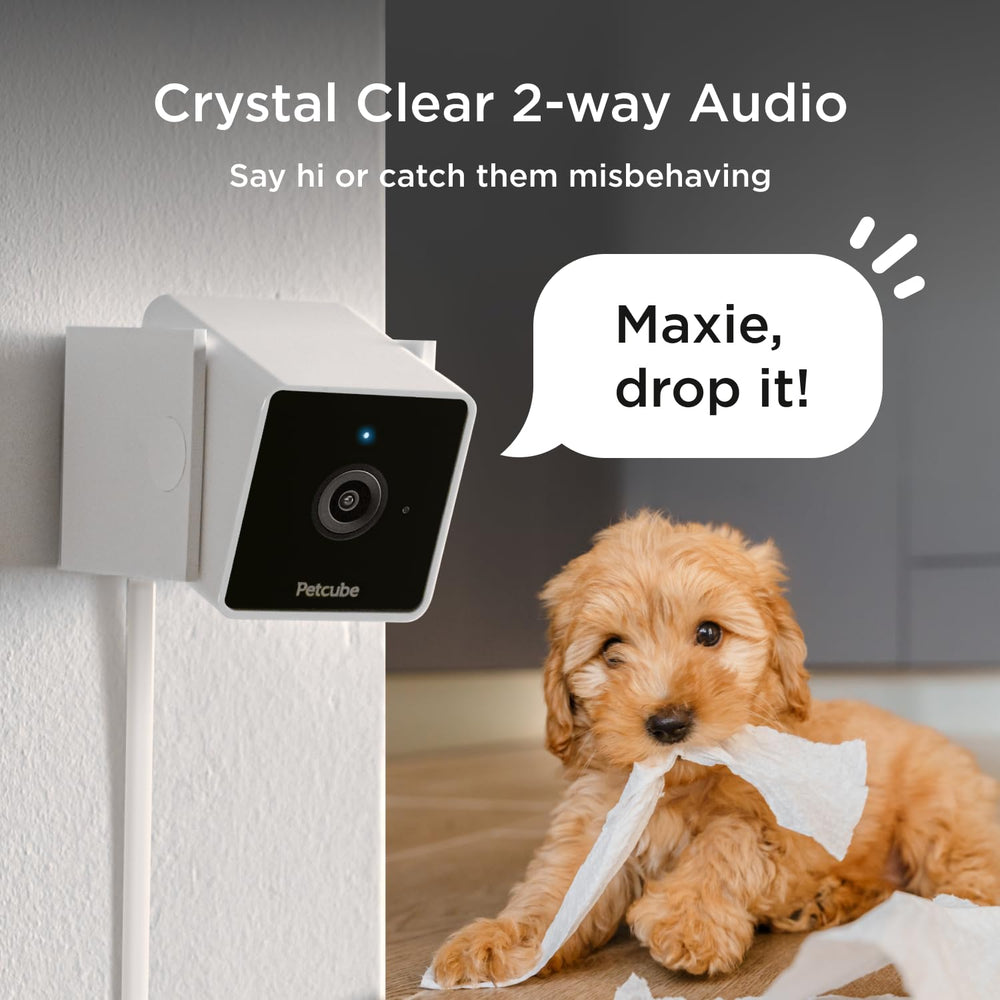 Petcube Pack: audio bidireccional para hablar con tu mascota desde cualquier lugar.