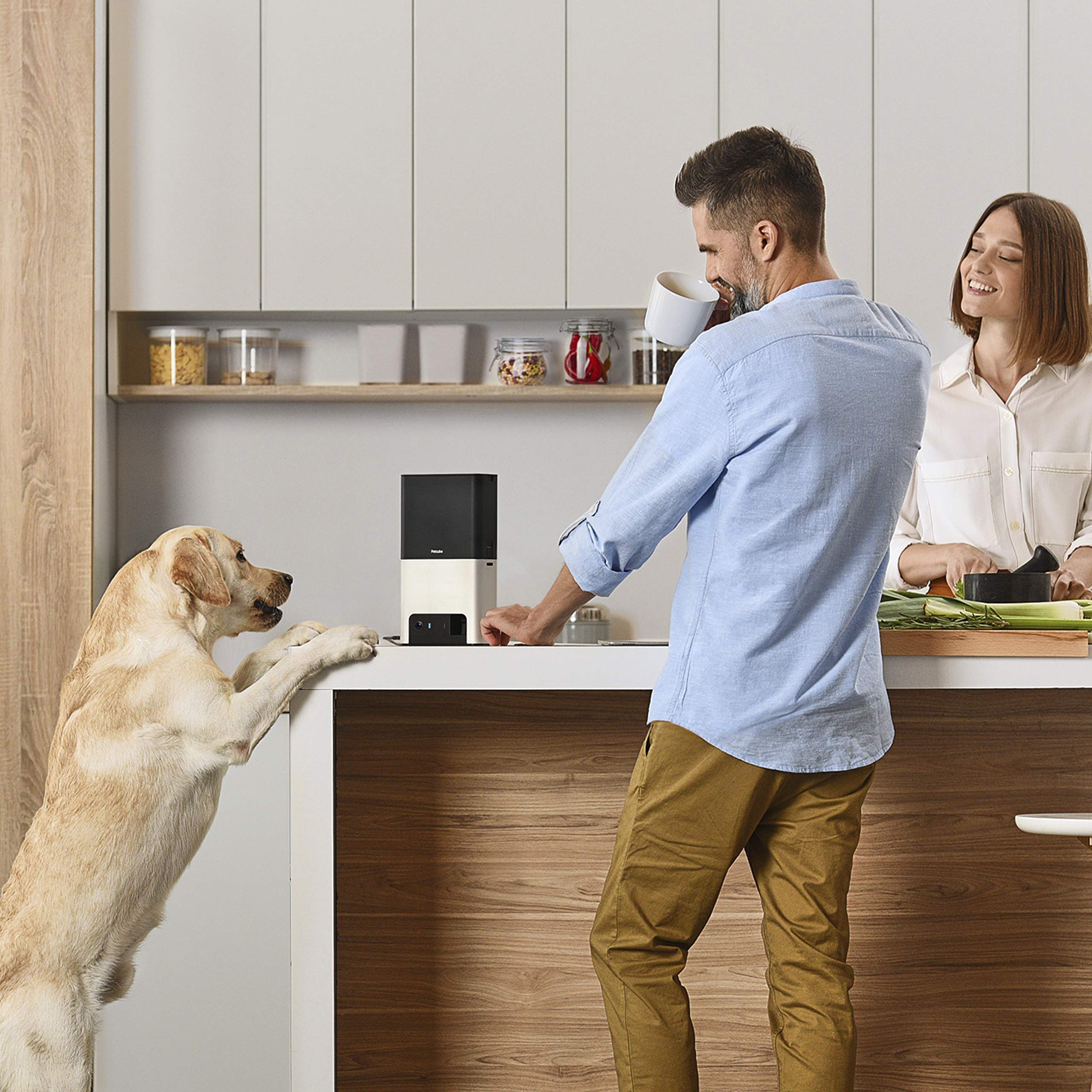 Petcube Bites 2: alertas de sonido y movimiento en tiempo real