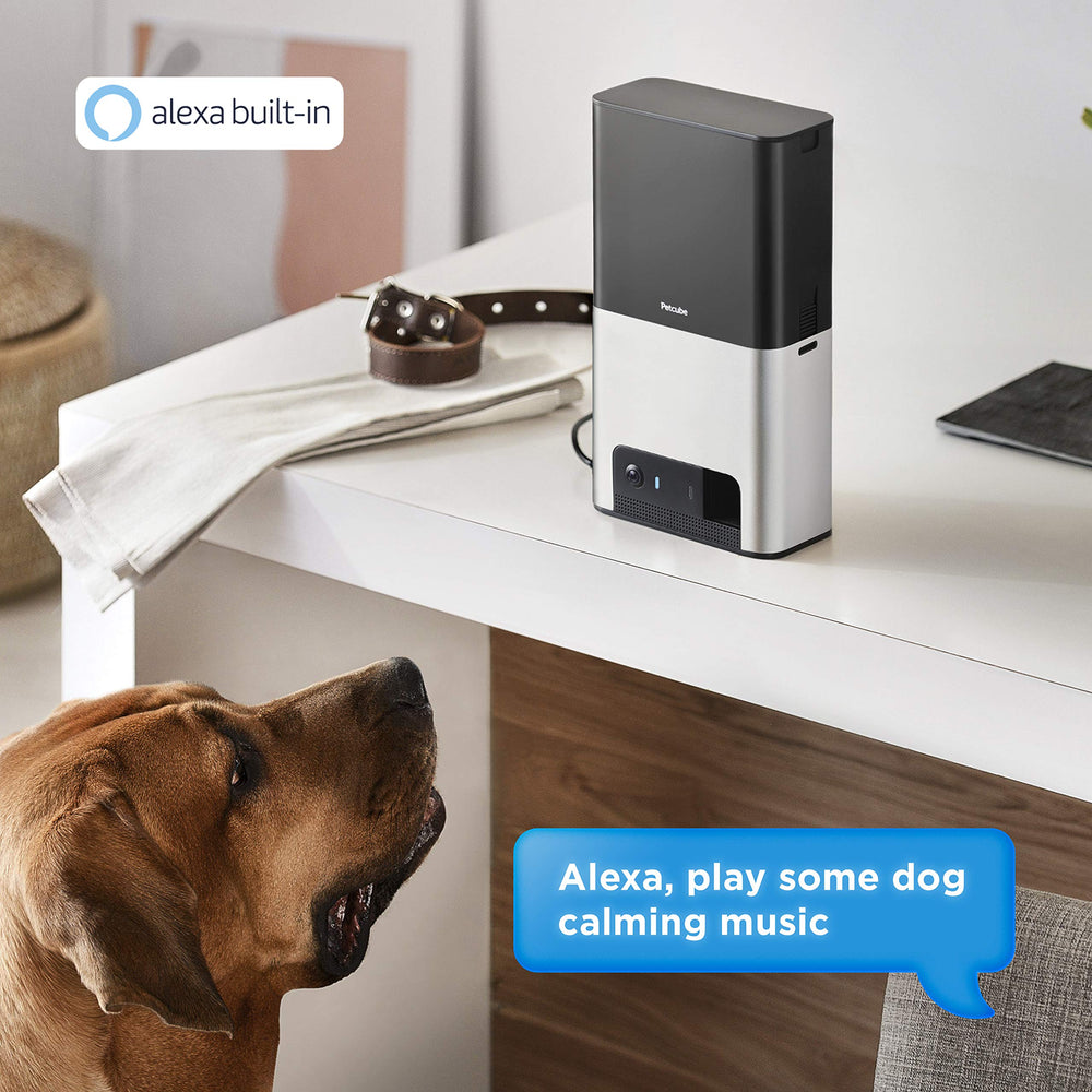 Petcube Bites 2: dispensador de golosinas para entrenamiento remoto
