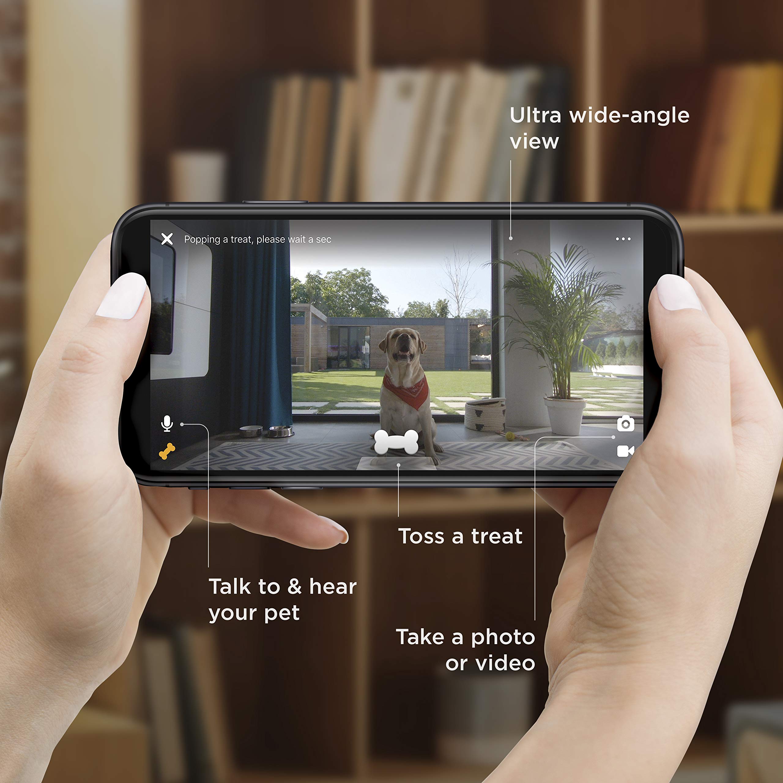 Petcube Bites 2: visión de 160° para cobertura amplia