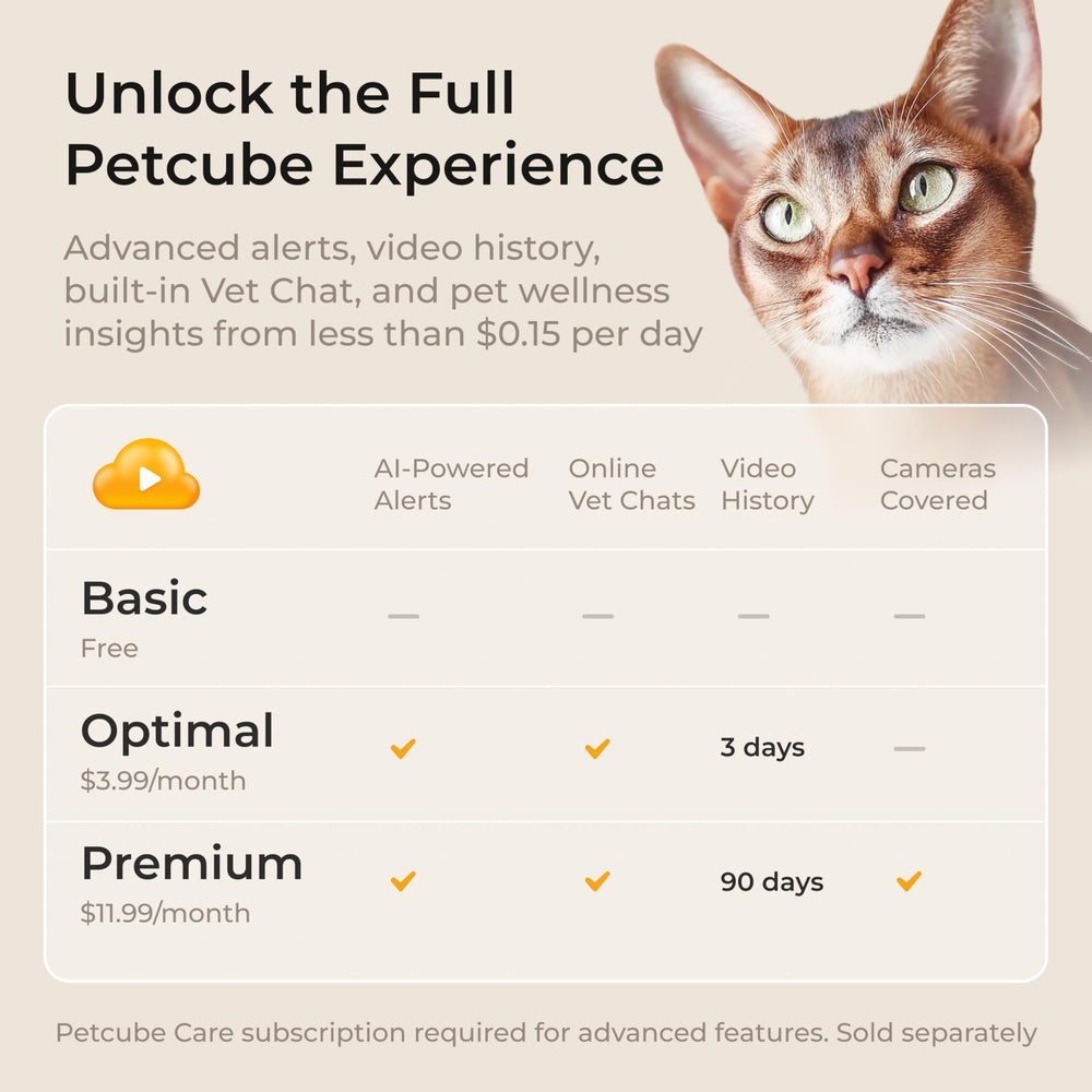 Petcube Cam360 Pack Tres: solución de seguridad para varias habitaciones.