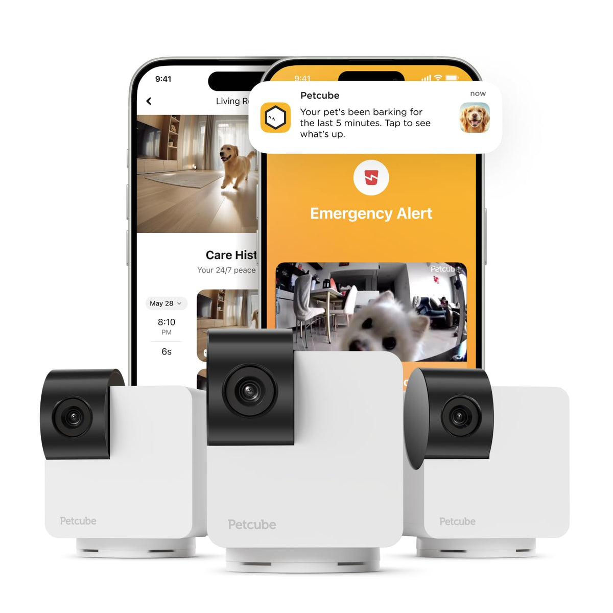 Petcube Cam360: visión 360 para vigilancia completa y cobertura de la habitación.