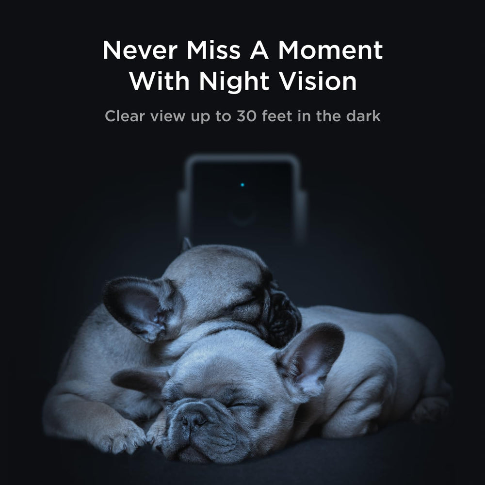 Petcube Cam Pack 2: resúmenes diarios y descargas para revisar momentos.