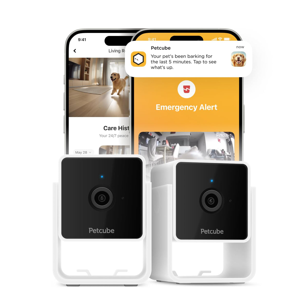 Petcube Cam Pack 2: visión 1080p en interiores para vigilar cada rincón.