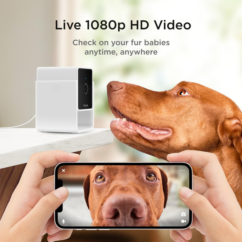 Petcube Cam Pack 2: visión nocturna de hasta 9 metros para tranquilidad nocturna.