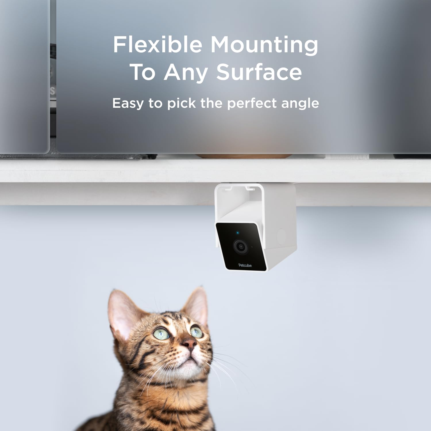 Petcube Pack: instalación rápida en un minuto y cifrado avanzado para mayor tranquilidad.