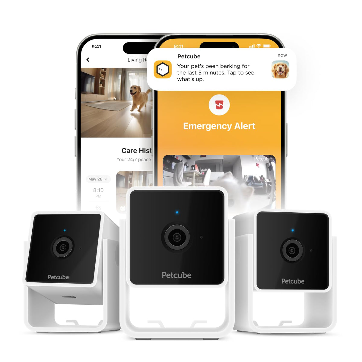 Petcube Pack: cámara interior 1080p con visión nocturna para vigilar mascotas sin perder detalle.