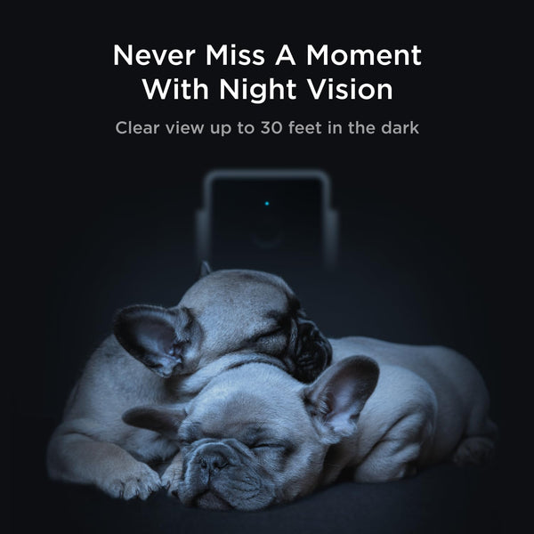Petcube Pack: historial de video de 90 días para revisitar momentos.
