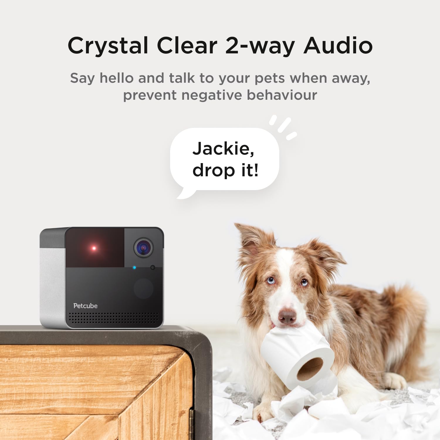 Petcube Play 2: alertas de movimiento y sonido para mayor tranquilidad.