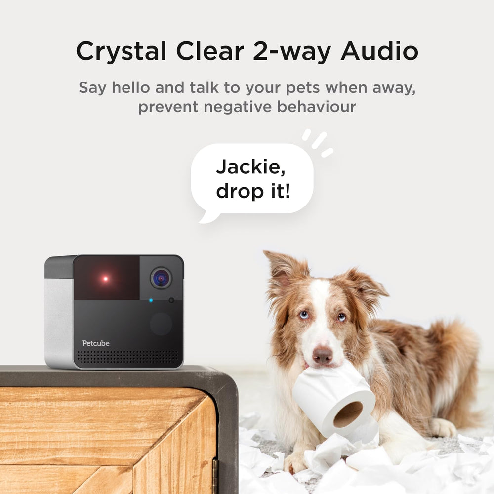 Petcube Play 2: alertas de movimiento y sonido para mayor tranquilidad.