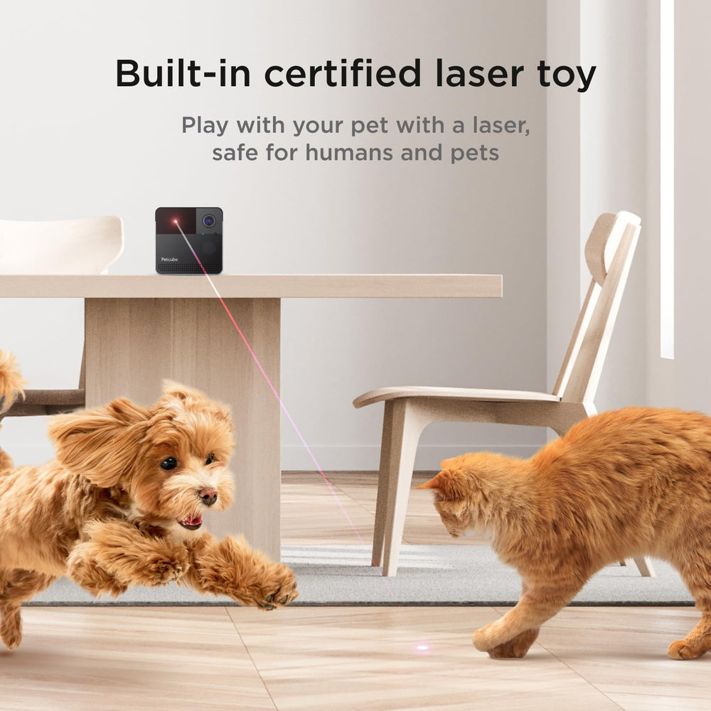 Petcube Play 2: ángulo de 160° para ver toda la habitación y conocer su entorno.