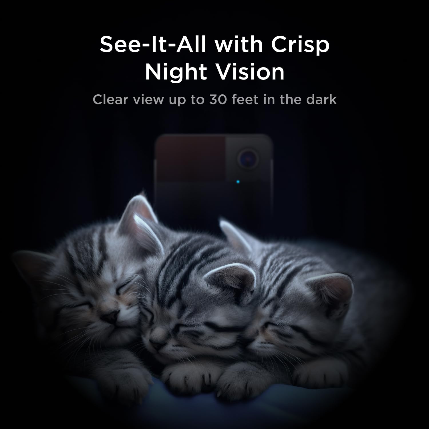 Petcube Play 2: visión nocturna para vigilancia en la oscuridad.
