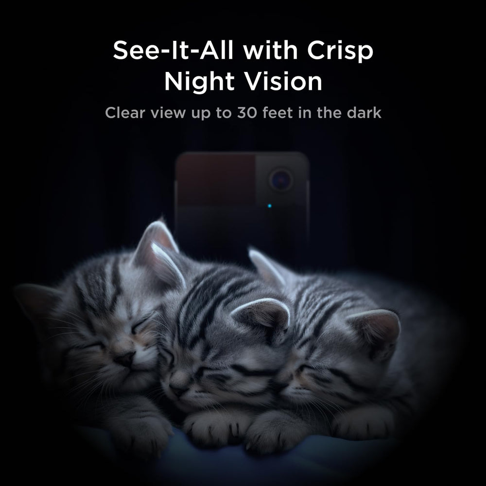 Petcube Play 2: visión nocturna para vigilancia en la oscuridad.