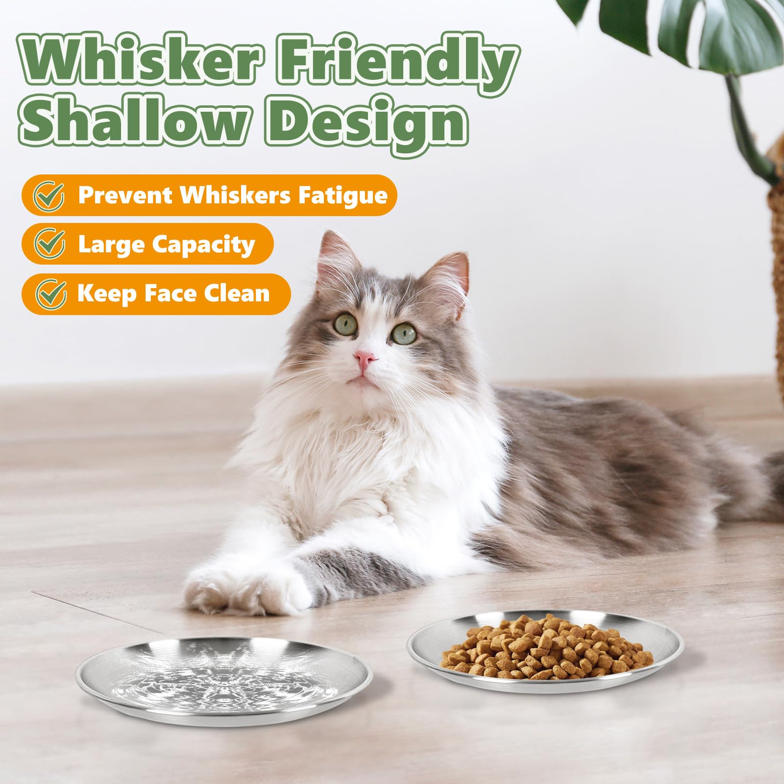 Petdream: base de silicona antideslizante evita deslizamientos durante la comida.